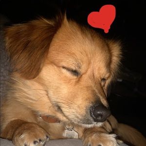 Meet your Posher, Calinda